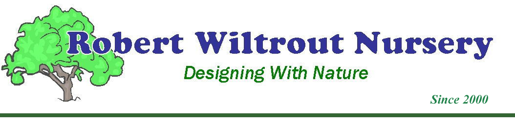 Wiltrout Nursery